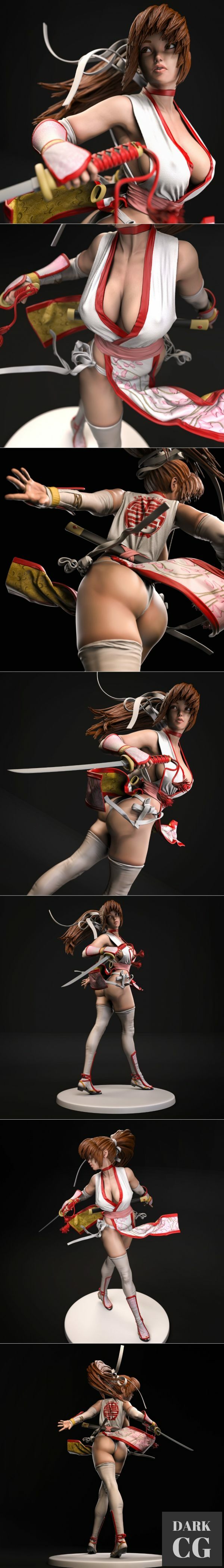 3D Model Kasumi Dead Of Alive