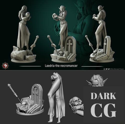 3D Model Laedria necromancer 3D Print