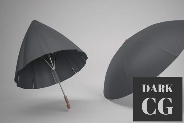 3D Model Rigged and wired Umbrella
