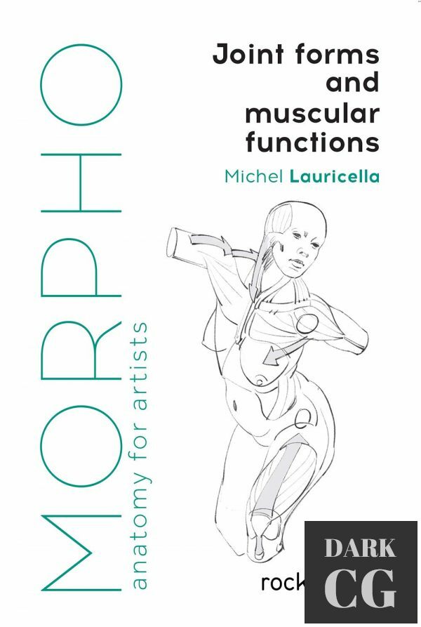 Morpho Joint Forms and Muscular Functions