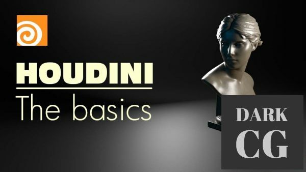 Houdini for beginners The basics nodes attributes and rendering