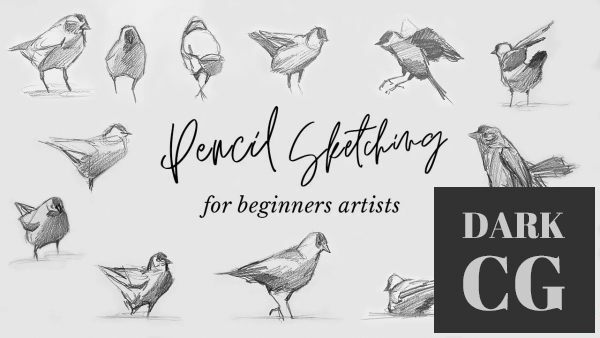 Pencil Sketching for Beginner Artists Improve Your Technique With Quick Loose Animal Drawings