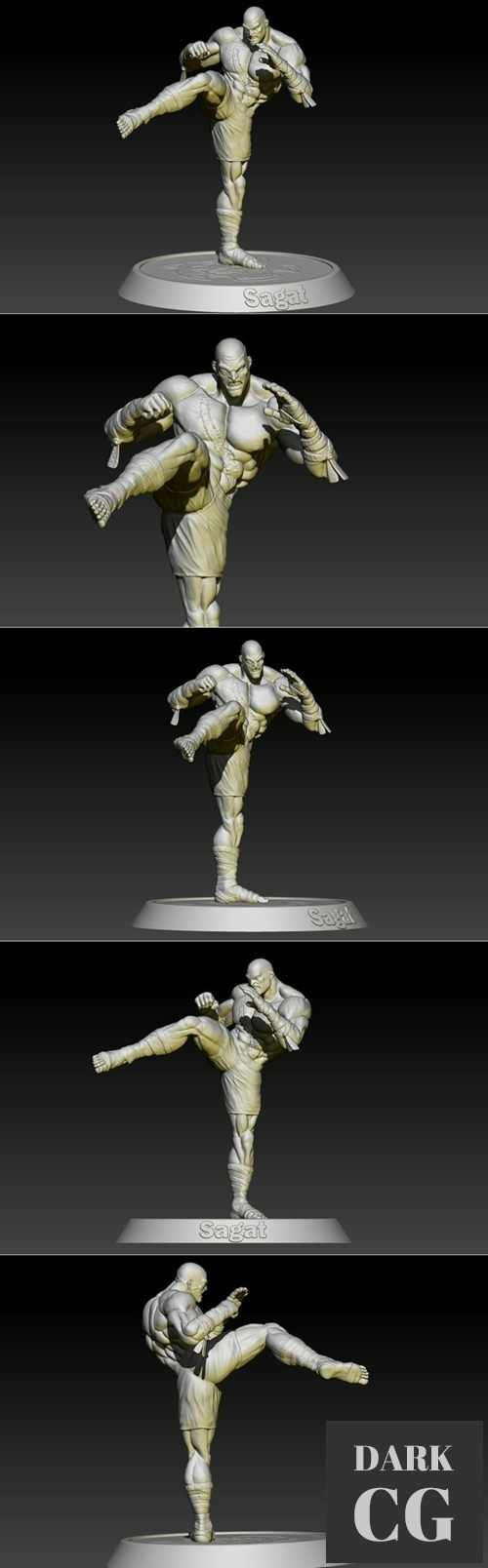 Street Fighter Sagat – 3D Print