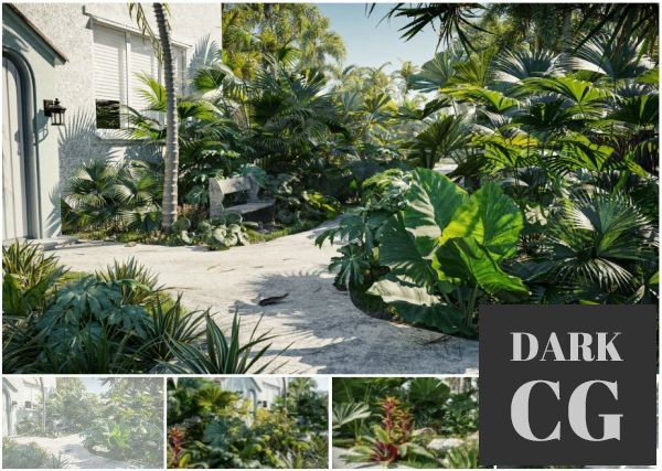 Maxtree – Plant Models Vol. 18 (2021)