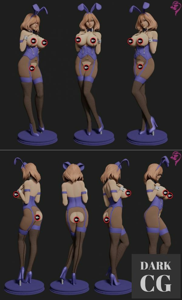 Bunny Girl Hiromi