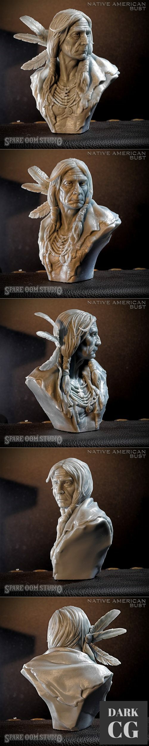 3D Model Native American Bust 3D Print