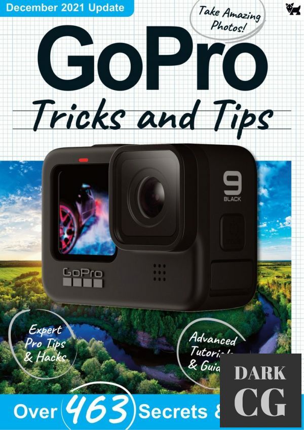 Go Pro Tricks And Tips – 8th Edition, 2021 (PDF)