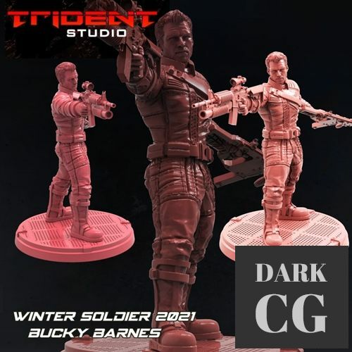 3D Model Winter Soldier 3D Print