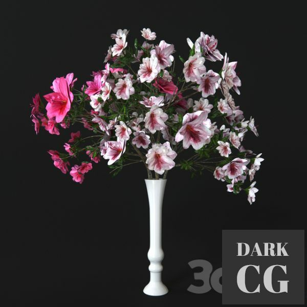 3D Model Azalea Flower