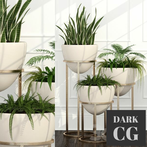 3D Model Room plants 14