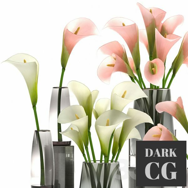 3D Model Calla Flower Bouquet In A Vase 114