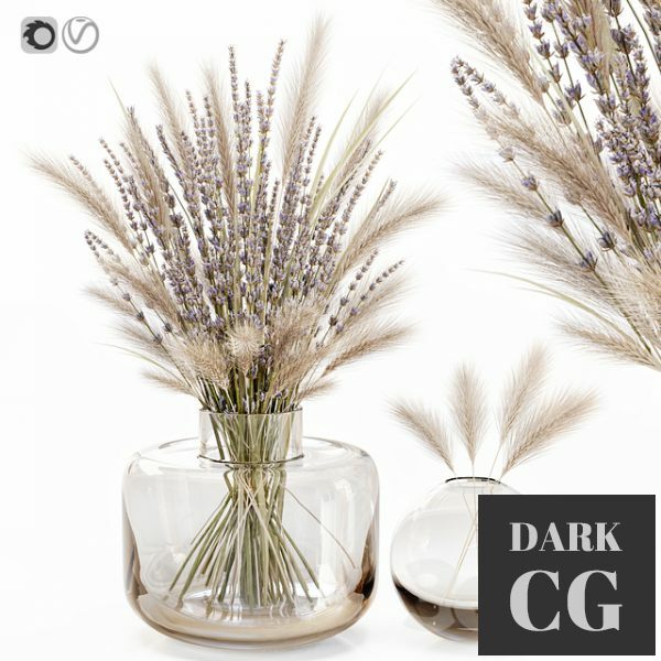 3D Model Dry flowers in glass vase with lavender