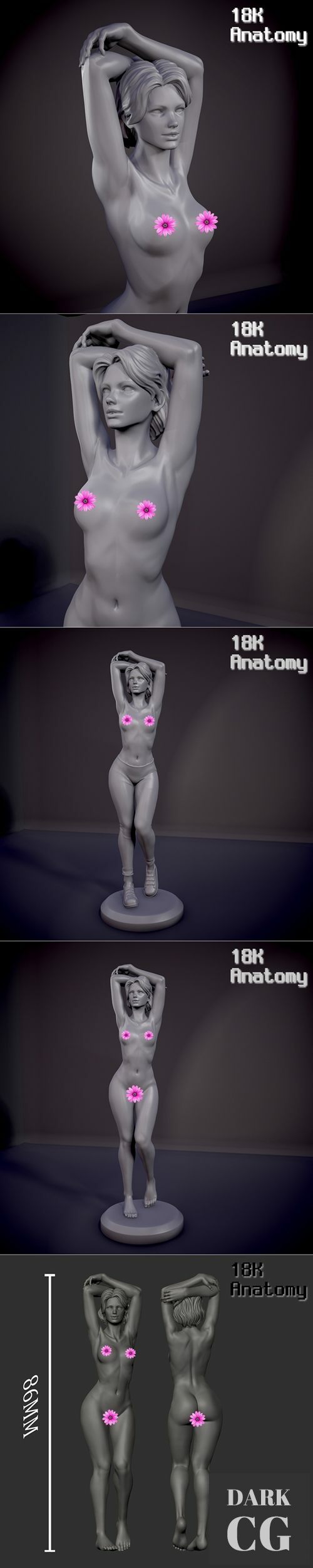 18K Anatomy - Woman remastered – 3D Print