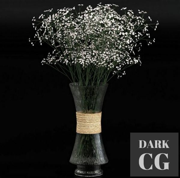 3D Model Bouquet of gypsophila