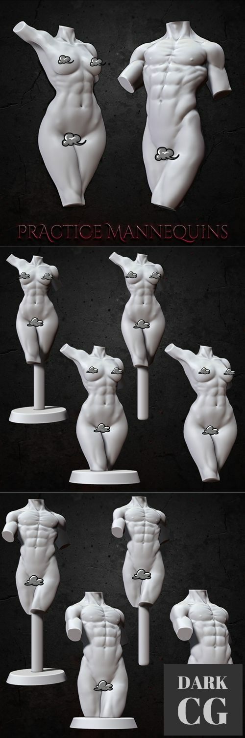 Practice Mannequins – 3D Print