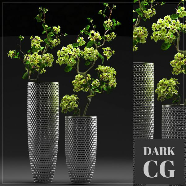 3D Model FLOWER SET 3
