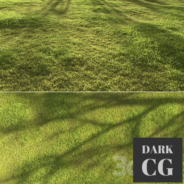 3D Model Garden grass