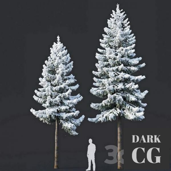 3D Model Spruce 6 Two sizes H8 10m Modular branches