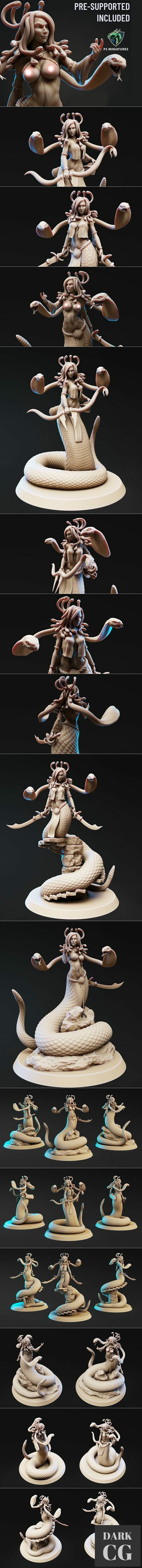 Pureblood Medusa Bundle – 3D Print