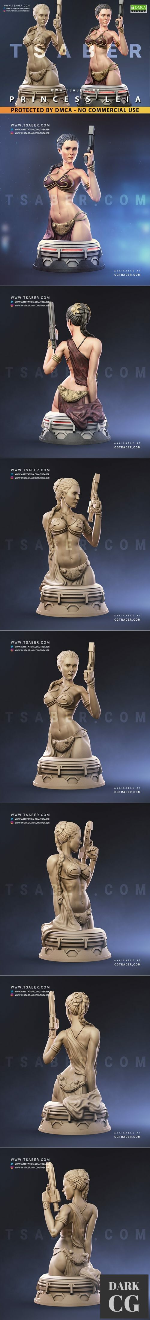 Princess Leia Bust – 3D Print