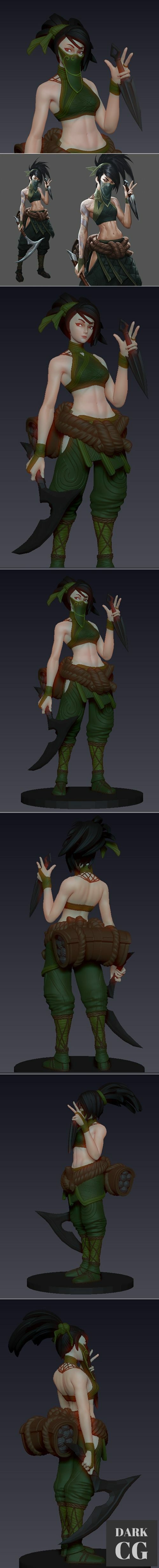 Akali figuer – 3D Print