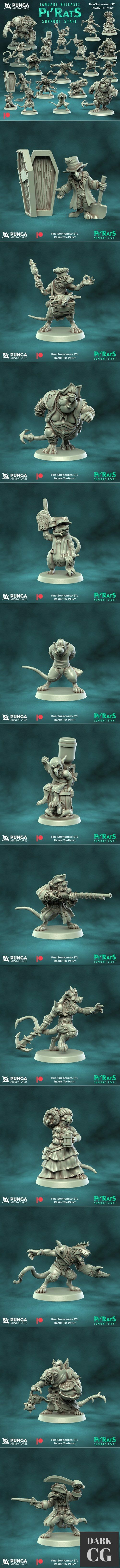 Pi'Rats Support Staff January Release – 3D Print