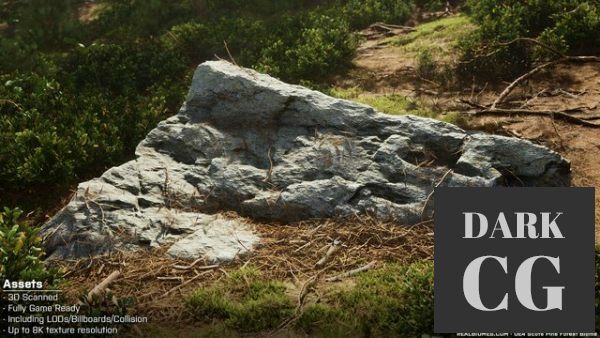 Unreal Engine Marketplace – Scots Pine Forest Biome