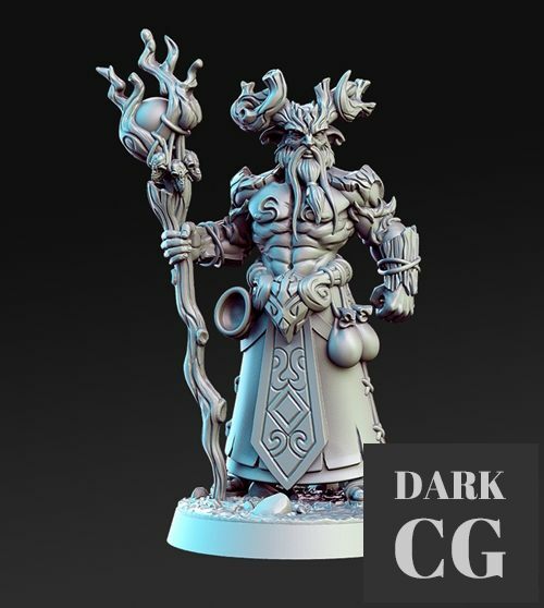Aerlin - Druid – 3D Print