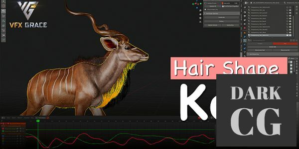 Blender Addon Hair Shape Key v5 3 Vfx Grace