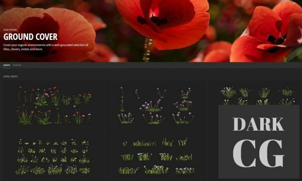 Megascans – Ground Cover Collection and Other (3D Plants)