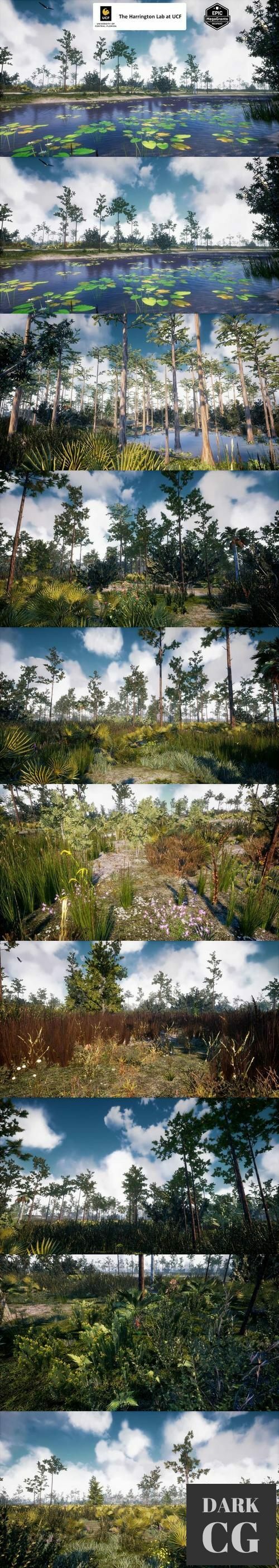 Unreal Engine Southeastern US Plants and Ecosystems