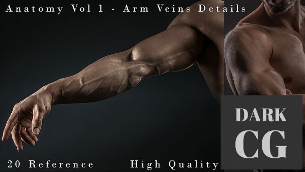 Anatomy Vol 1 Arm Veins Details