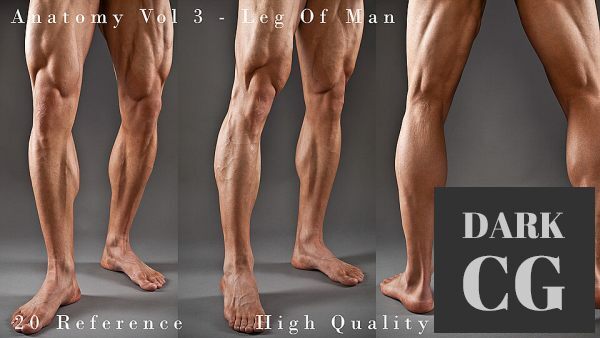 Anatomy Vol 3 Leg Of Man Details
