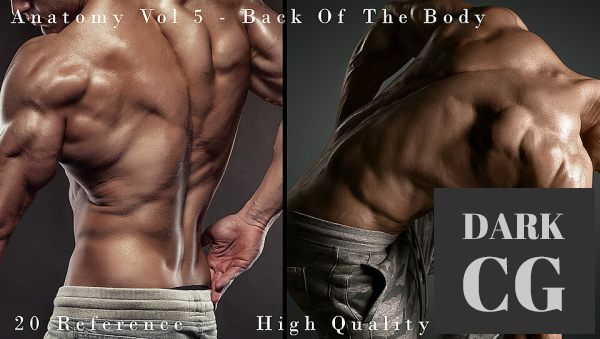 Anatomy Vol 5 Back Of The Body