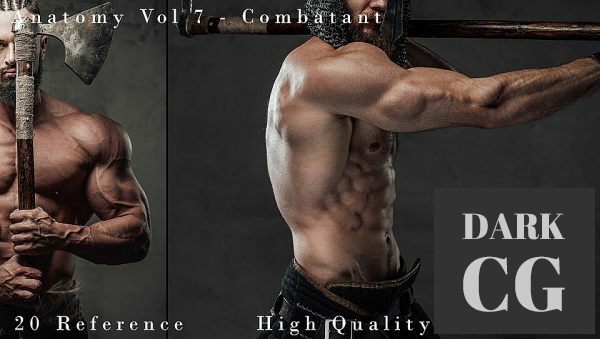 Anatomy Vol 7 Combatant