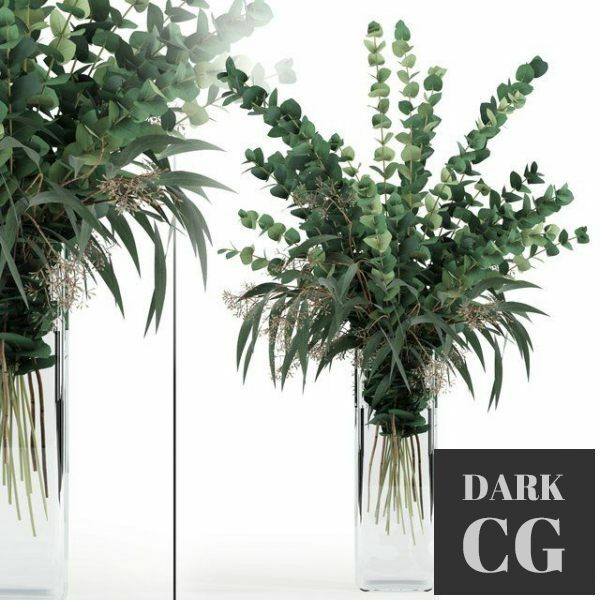 3D Model Eucalyptus in tall vase