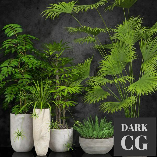 3D Model Houseplant 056