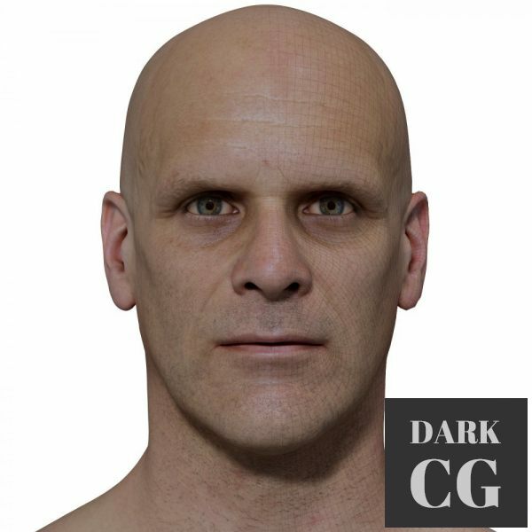 3D Scan Store – Retopologised Male Head 022