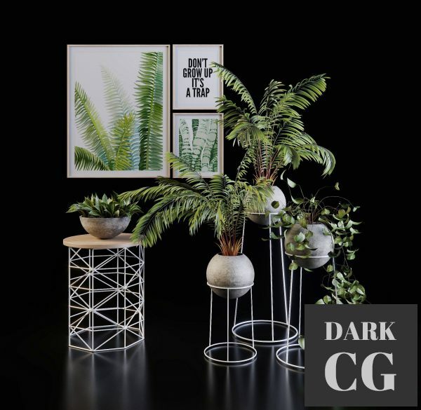 3D Model 3D Green set Plants set 107