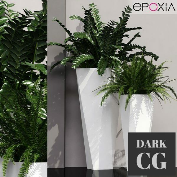 3D Model Epoxia diamond Plants 19