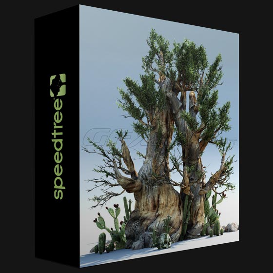 SpeedTree Modeler 9 0 0 Cinema Edition Win x64