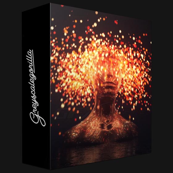 GreyscaleGorilla HUB plugins for C4D S22 R25 Win x64