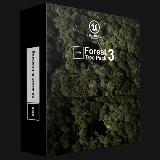 DVIZ Unreal Engine Tree and Forest Pack 03
