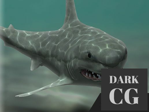 Unity Asset – PA Shark