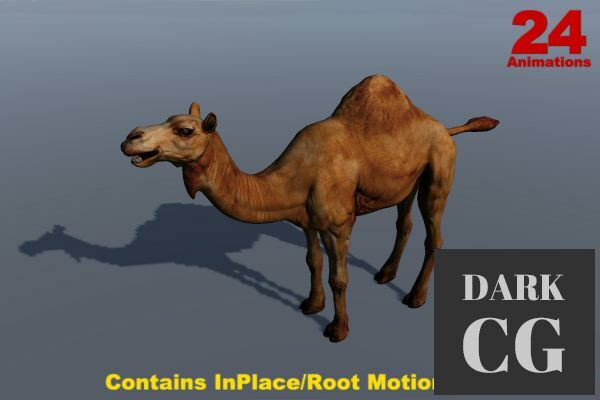 Unity Asset African Animal Camel Dromedary