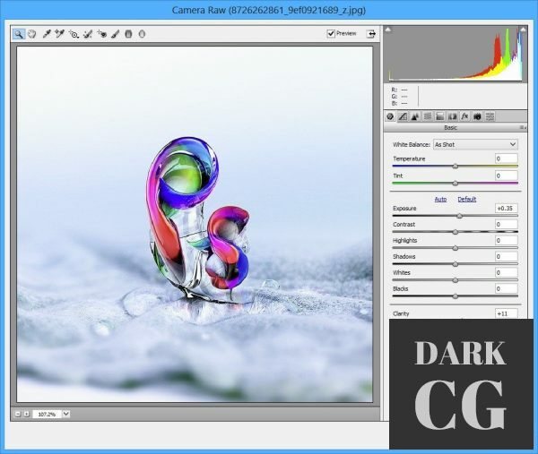 Adobe Camera Raw v14.2 Win x64