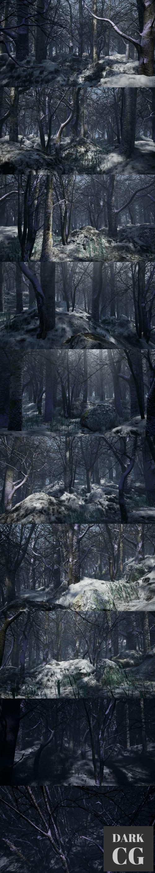 Unreal Engine – Cold Forest