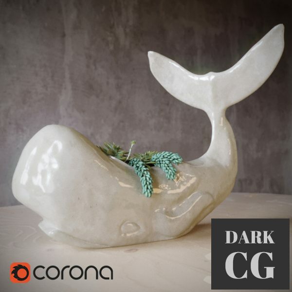 3D Model Whale succulent