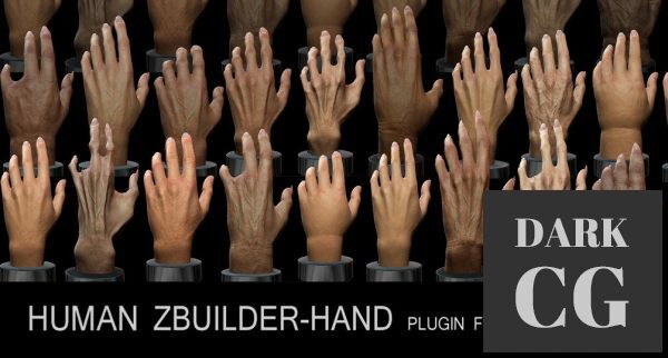 Human Zbuilder Hand Win Mac