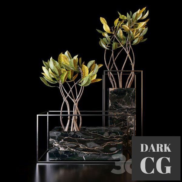 3D Model Croton trees